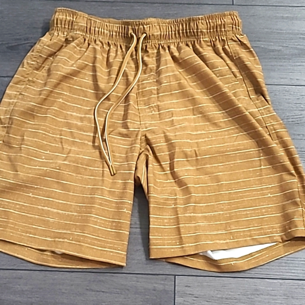 Striped Wet/Dry George Swim Trunks
